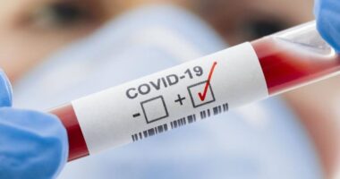 На Тернопільщині за тиждень майже втричі знизився рівень захворюваності на COVID-19