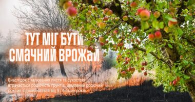 «Через спалювання сухостою втрачається родючість ґрунтів»: рятувальники Тернопільщини