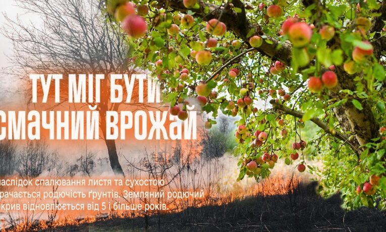 «Через спалювання сухостою втрачається родючість ґрунтів»: рятувальники Тернопільщини