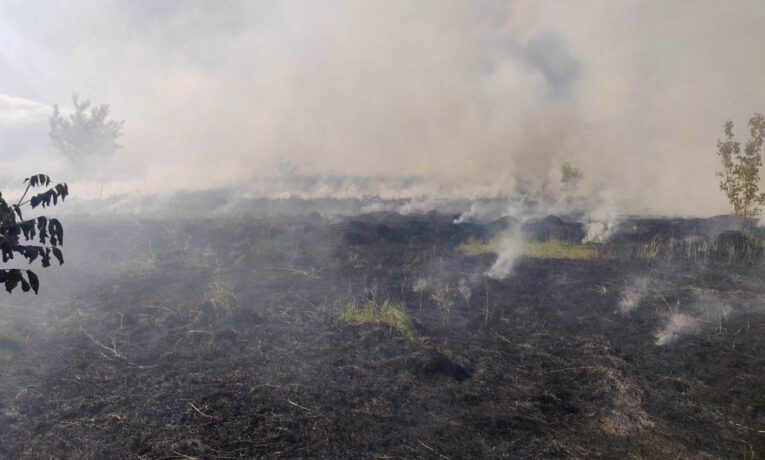 За добу на Тернопільщині сталося 5 пожеж сухої трави
