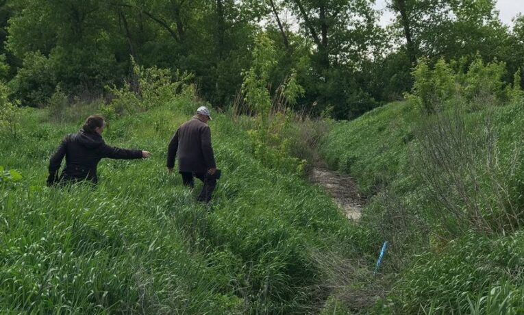 “Смердить так, що неможливо тут жити”: жителі села скаржаться на підприємство, яке займається забоєм тварин