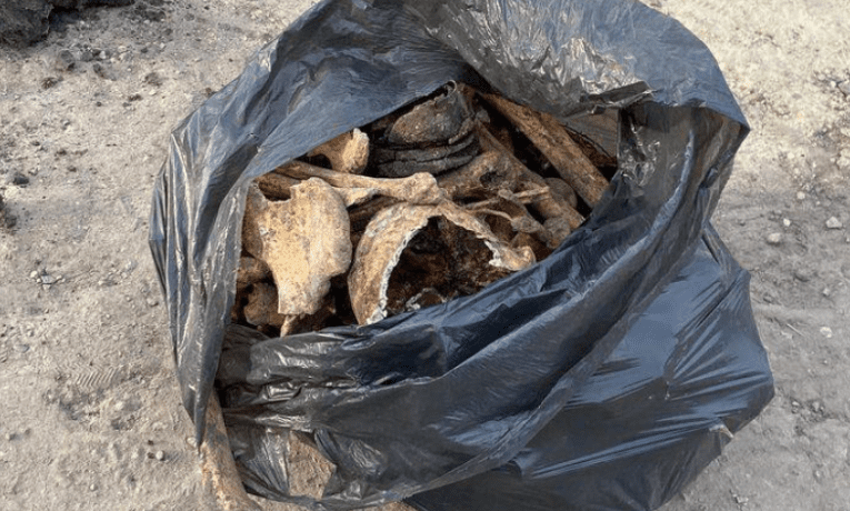 У Тернополі на кладовищі викопали рештки людини і лишили у сміттєвому пакеті