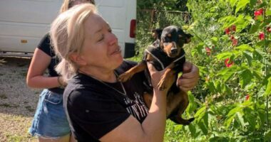 У Тернополі рятували собачку, який потрапив у небезпечну пастку