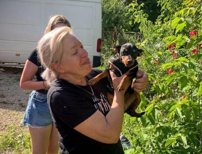 У Тернополі рятували собачку, який потрапив у небезпечну пастку