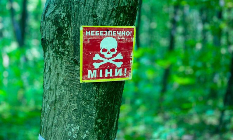 У лісі на Чортківщині знайшли 16 артснарядів