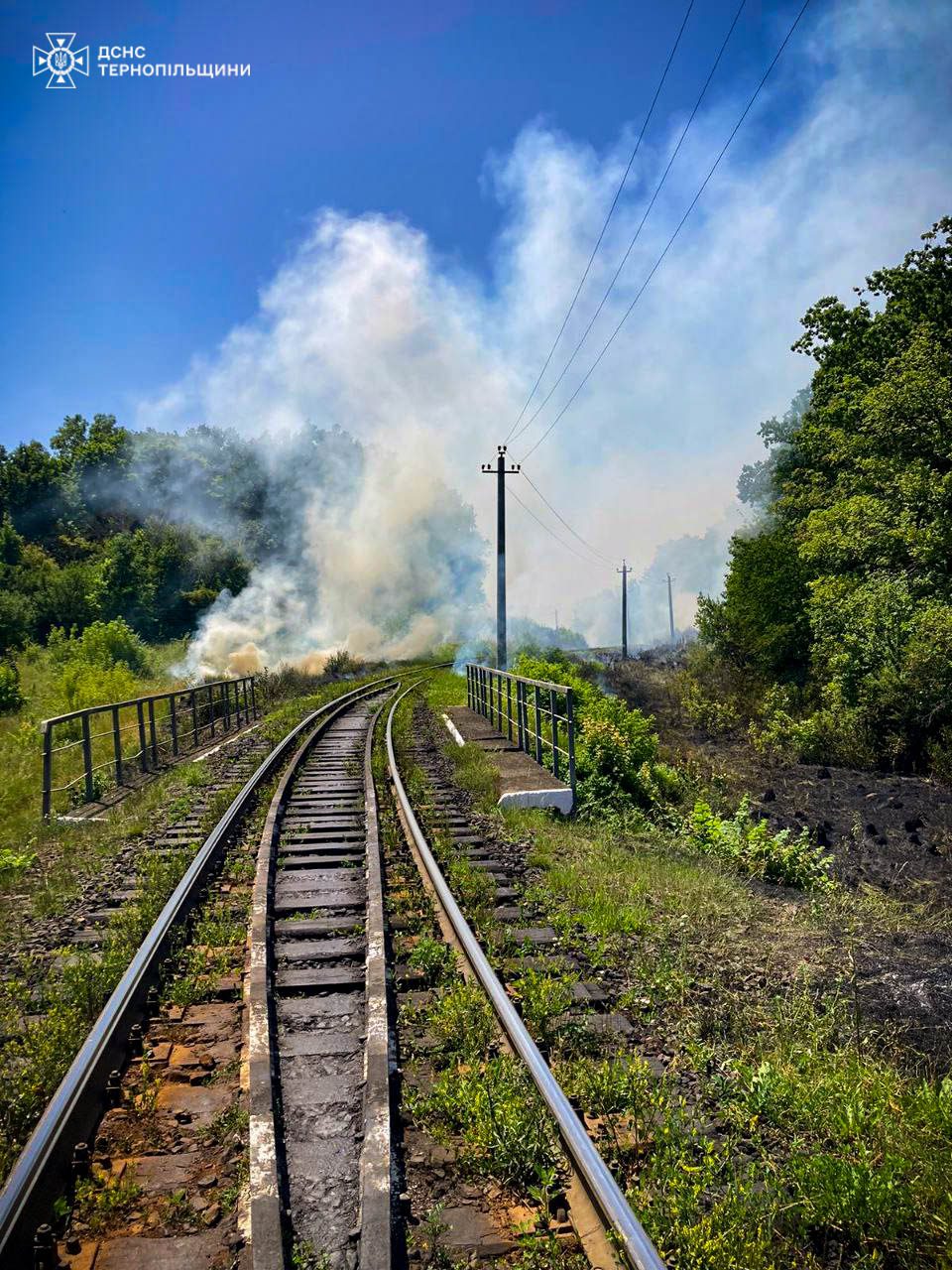 Пожежа у Копичинцях: уздовж залізничної колії горіли чагарники