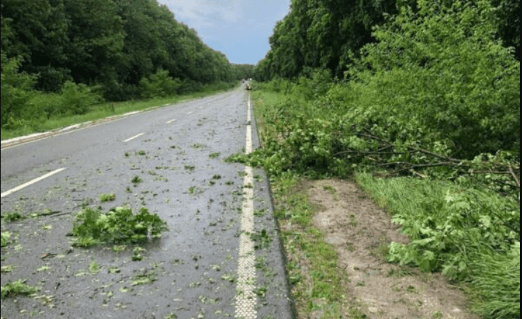 Негода на Тернопільщині наробила лиха