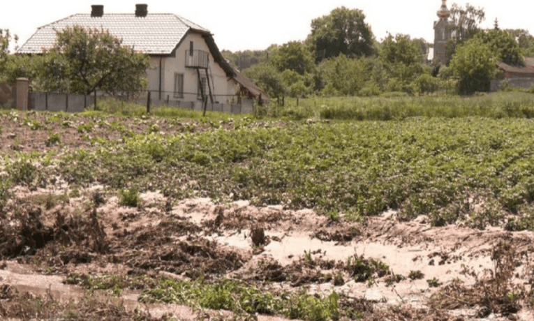 Пливли кури, свині, кролі: трагічні наслідки потопу у селі біля Теребовлі