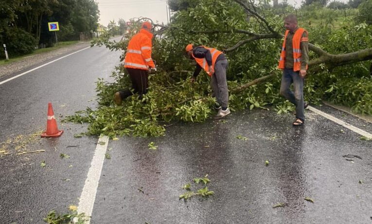 На Тернопільщині негода повалила на дороги 40 дерев