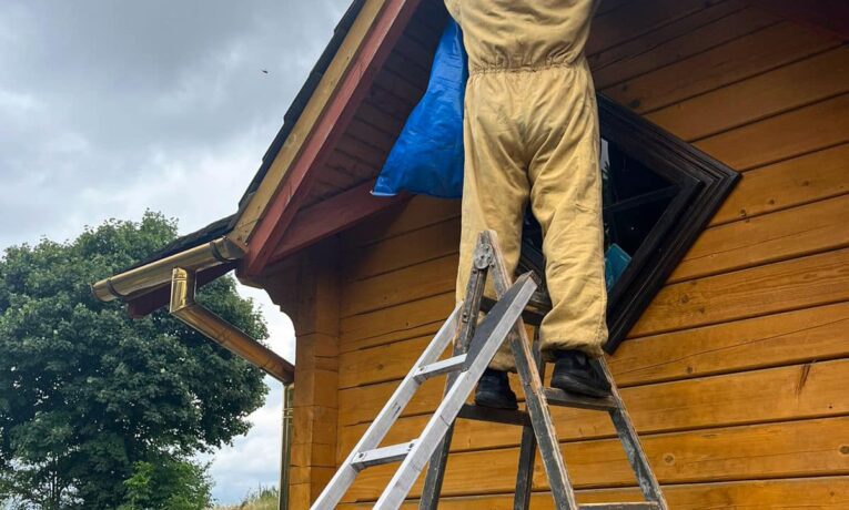 Рятувальники у Бучачі вилучили гніздо шершнів зі стіни церкви