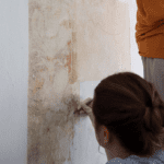 У Тернополі на стіні під штукатуркою виявили старовинні сецесійні розписи