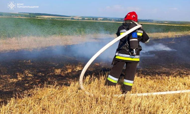 На Тернопільщині горіло майже 3 гектари поля