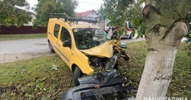 Біля Тернополя водійка врізалася у дерево