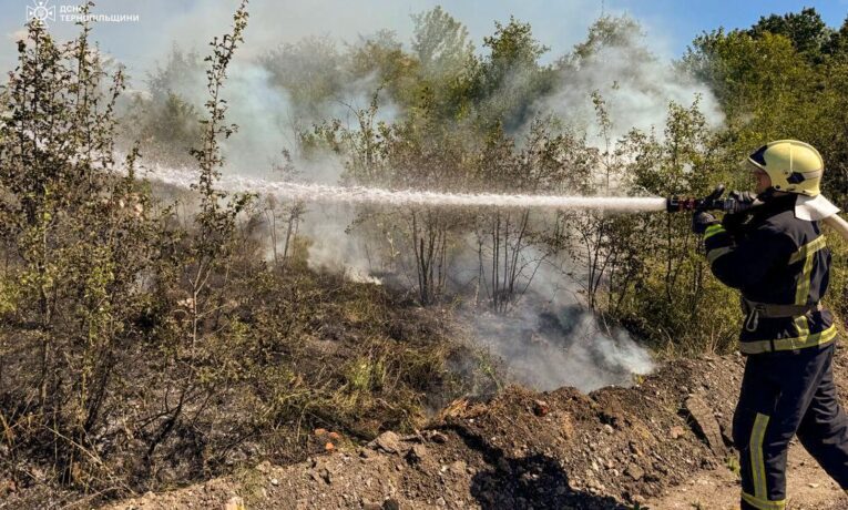 На Тернопільщині з початку року через спалювання сухої трави, сталося понад 400 пожеж