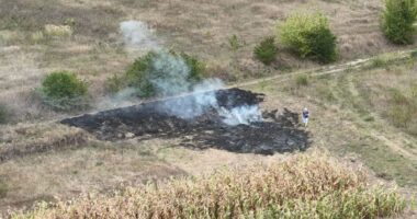 дрони для виявлення підпалів