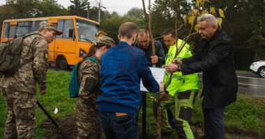 посади іменне дерево