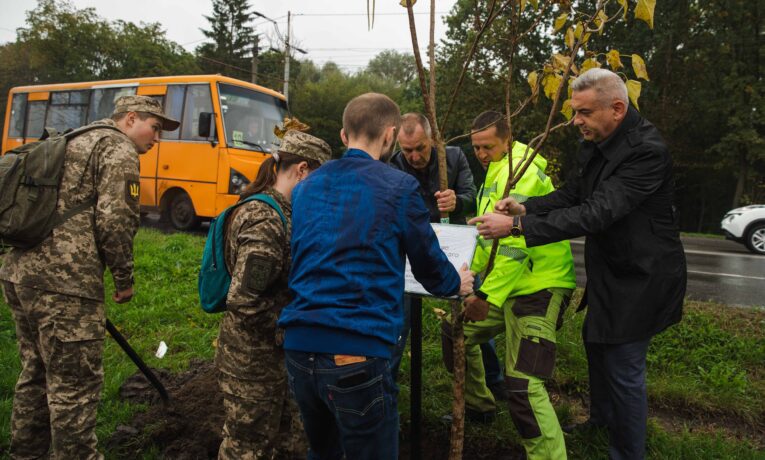 посади іменне дерево