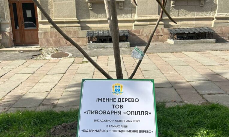 У центрі Тернополя ростуть іменні дерева «Опілля», донати за які підуть на ЗСУ