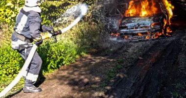 У Тернопільському районі рятувальники гасили пожежу автомобіля