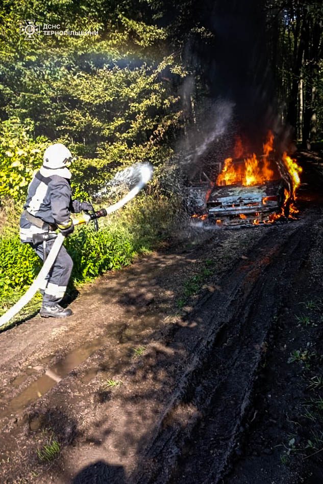 У Тернопільському районі рятувальники гасили пожежу автомобіля