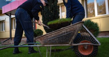 Тернопільські рятувальники долучилися до всеукраїнської акції «1 мільйон дерев памʼяті та життя»