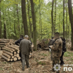 На Тернопільщині судитимуть лісника за службову недбалість