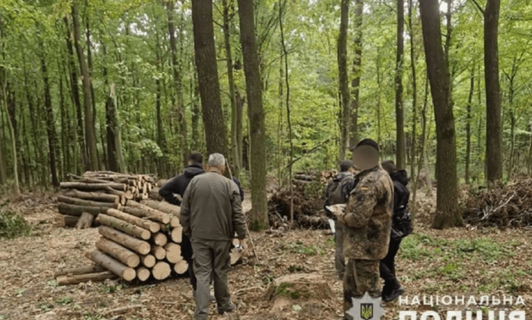 На Тернопільщині судитимуть лісника за службову недбалість