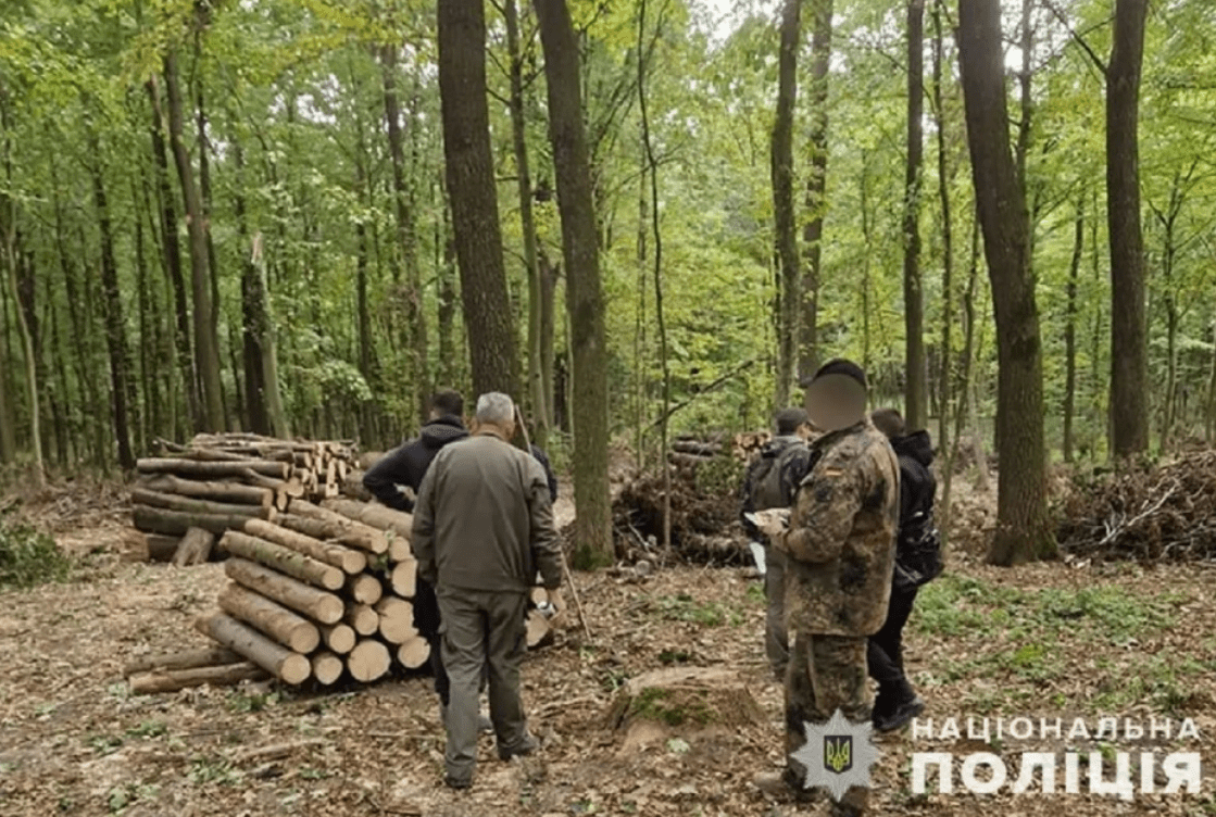 На Тернопільщині судитимуть лісника за службову недбалість