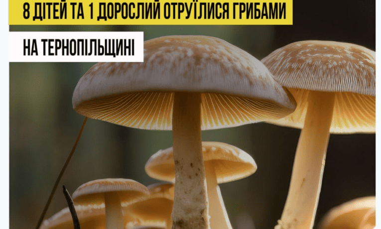 Важкий стан, дітей везуть в “Охматдит”: подробиці отруєння грибами у Копичинцях