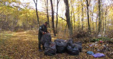 Дністровський каньйон