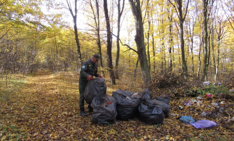 Дністровський каньйон