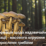 У Копичинцях поширюють фейки щодо отруєння місцевої родини грибами