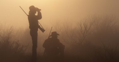 Тернопільські бігуни натрапили на мисливців