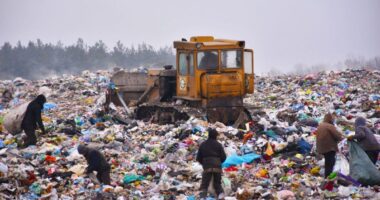 У Микулинецькій громаді не ліквідували 14 стихійних сміттєзвалищ: нараховано понад 1 млн грн шкоди