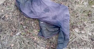 На Тернопільщині у лісопосадці виявили людські рештки