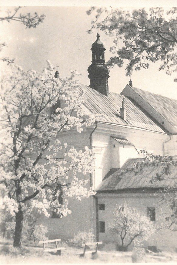 Весняні фото Кременця зразка 1930-х років