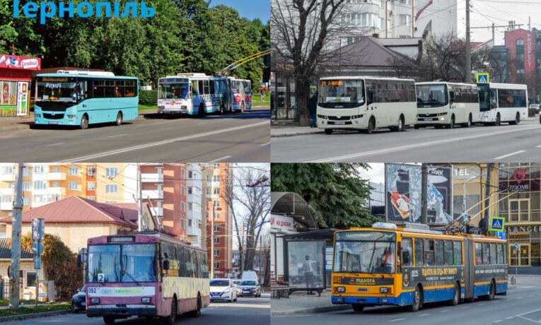 У Тернополі почався конкурс з брендування громадського транспорту