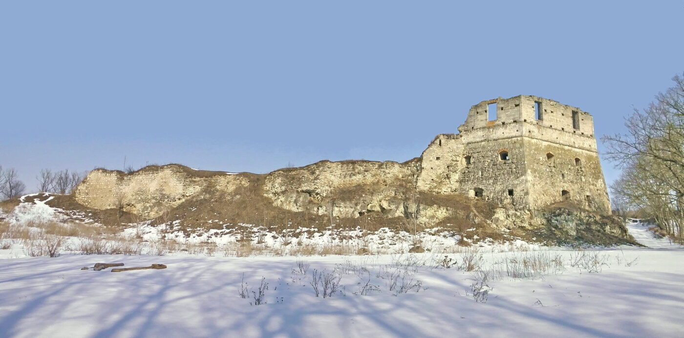 Токівський замок