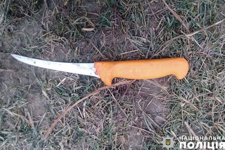 загинув ріжучи свиню