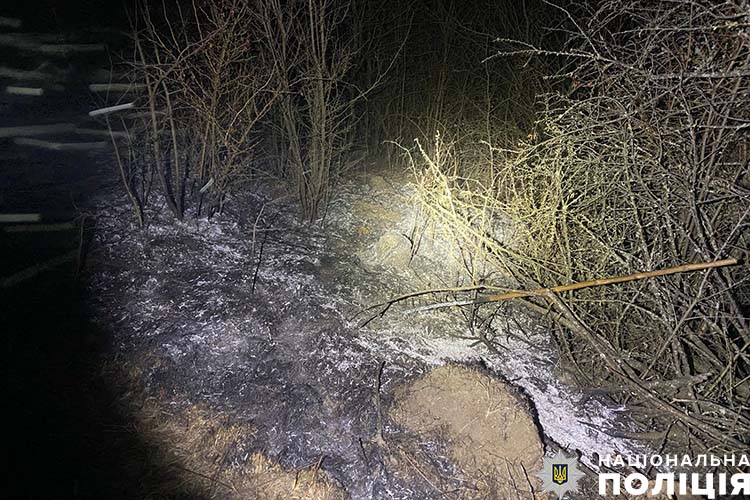 згоріла спалюючи траву