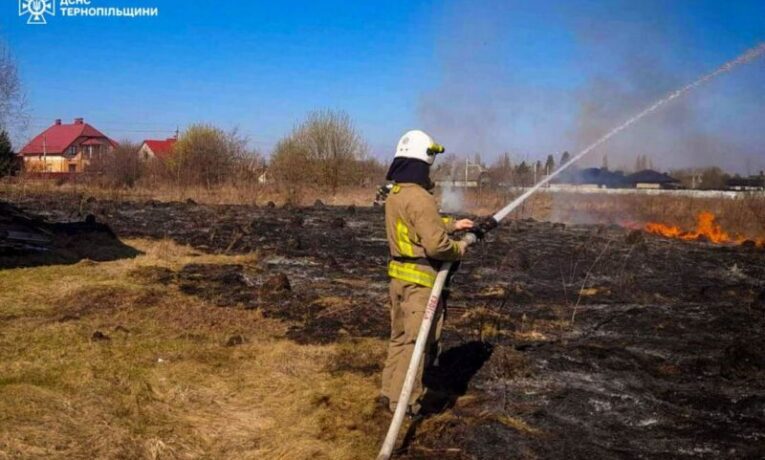 У Великих Бірках під час пожежі загинув собака