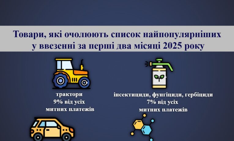 Митниця оприлюднила список найпопулярніших товарів ввезенних на Тернопільщину