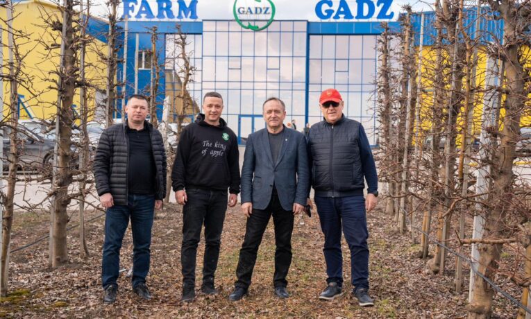 Гадз