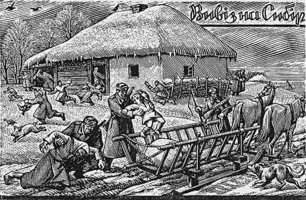 Ніл Хасевич