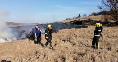підпалили суху траву