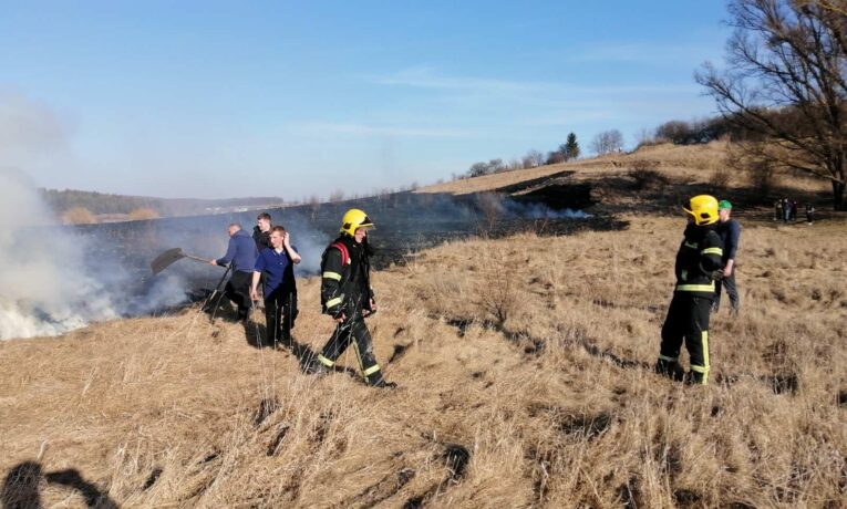 підпалили суху траву