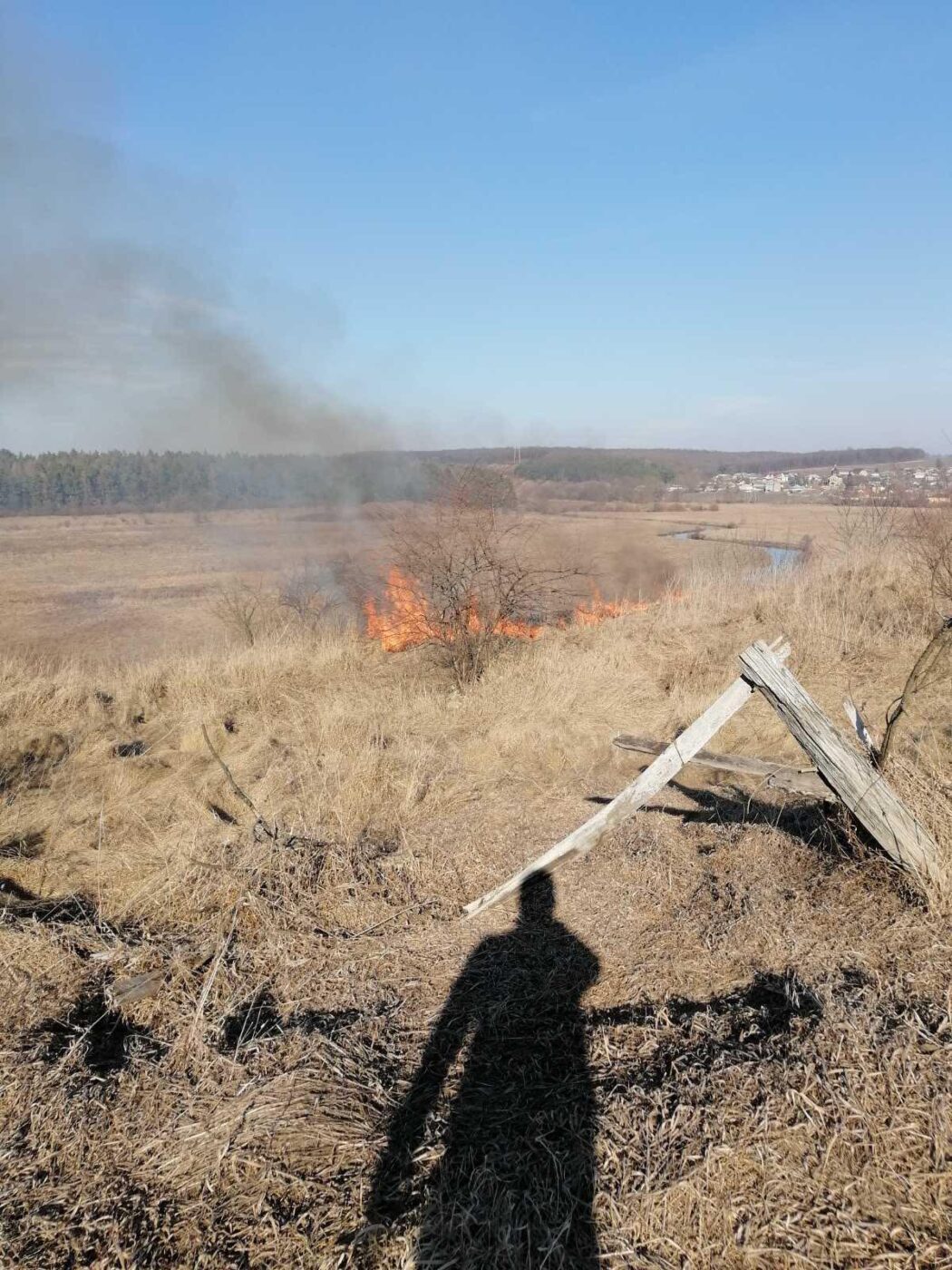 підпалили суху траву