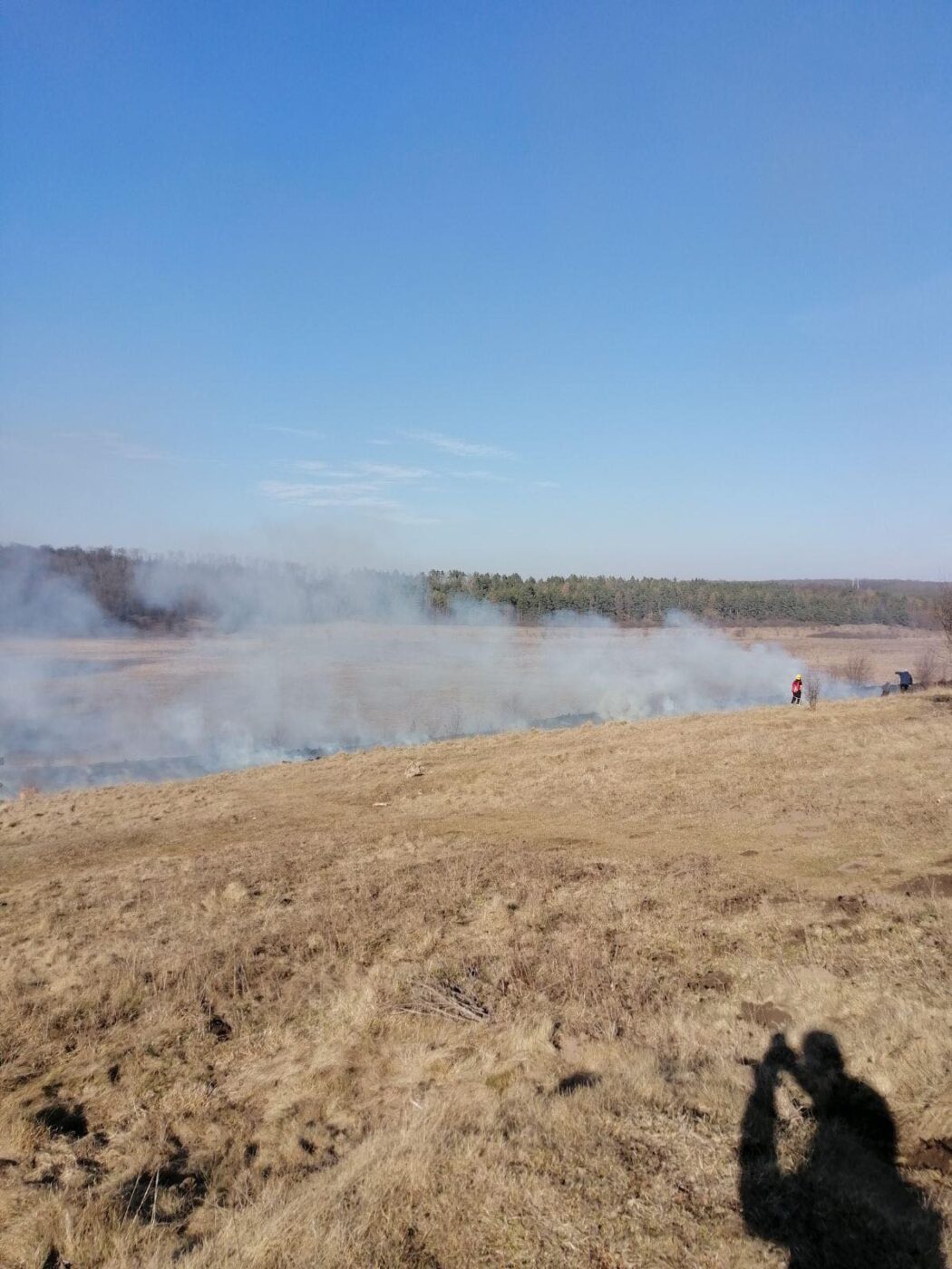 підпалили суху траву