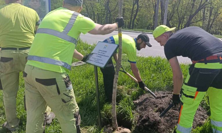 Тернопіль садить дерева для перемоги
