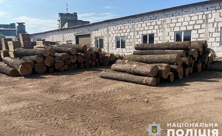 На Тернопільщині викрили організовану групу чорних лісорубів